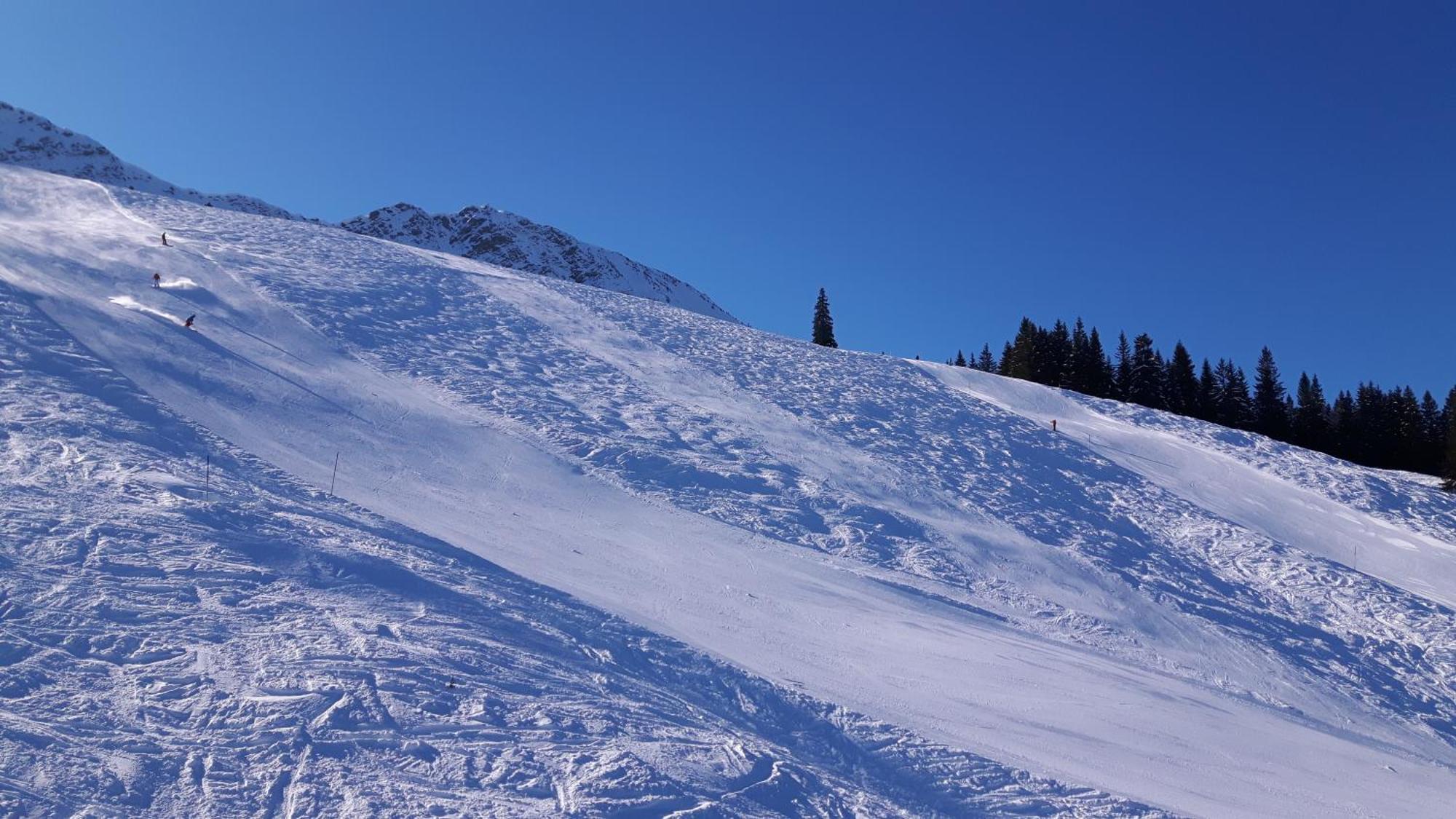 Hotel Alpengasthof Lowen Bad Hindelang Eksteriør billede